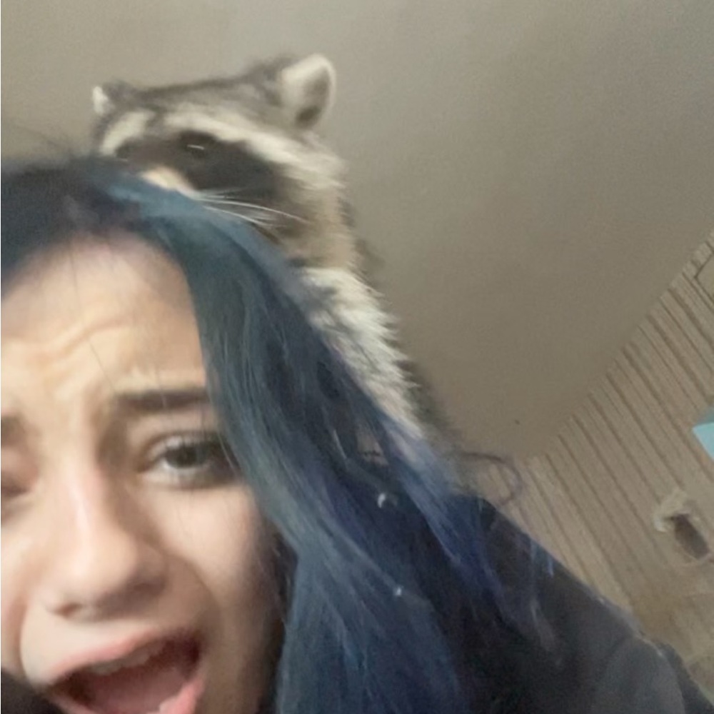 Meet your Posher, Leah